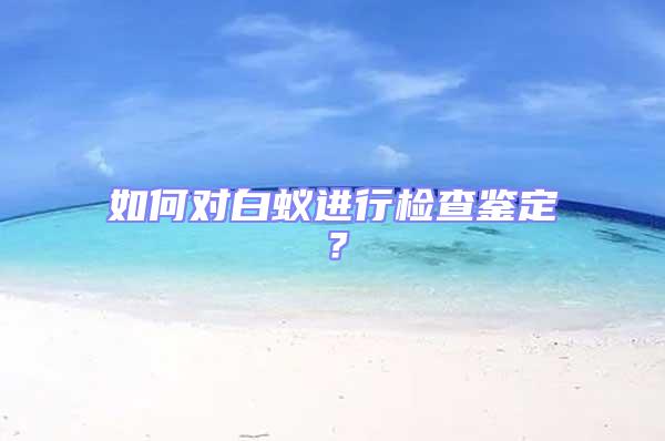 如何对白蚁进行检查鉴定？
