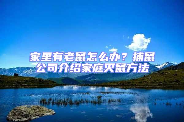 家里有老鼠怎么办？捕鼠公司介绍家庭灭鼠方法