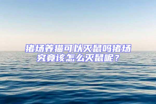 猪场养猫可以灭鼠吗猪场究竟该怎么灭鼠呢？