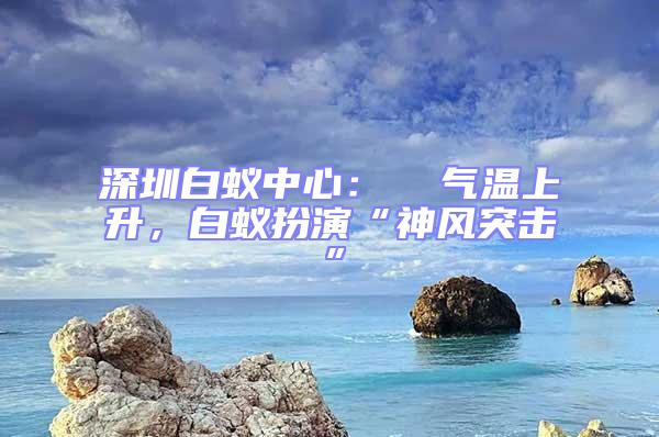 深圳白蚁中心：  气温上升，白蚁扮演“神风突击”