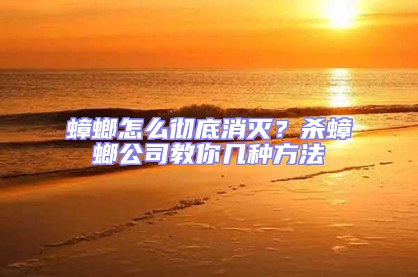 蟑螂怎么彻底消灭？杀蟑螂公司教你几种方法