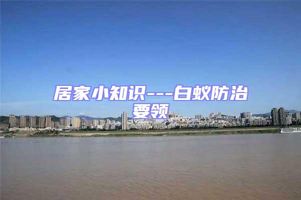 居家小知识---白蚁防治要领
