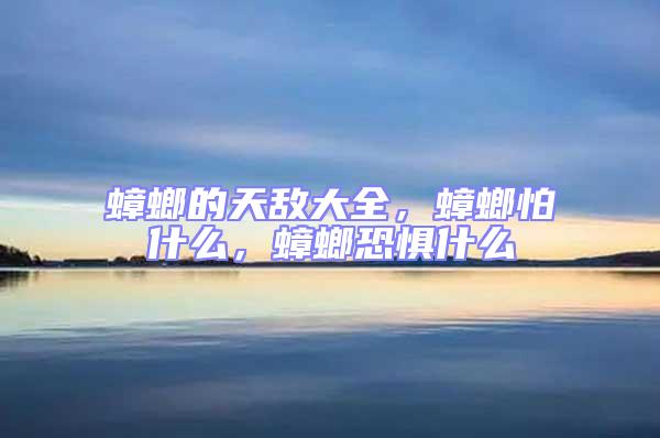 蟑螂的天敌大全，蟑螂怕什么，蟑螂恐惧什么