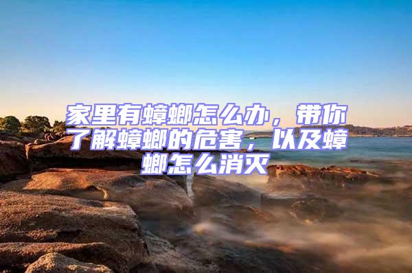 家里有蟑螂怎么办，带你了解蟑螂的危害，以及蟑螂怎么消灭