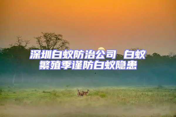 深圳白蚁防治公司 白蚁繁殖季谨防白蚁隐患