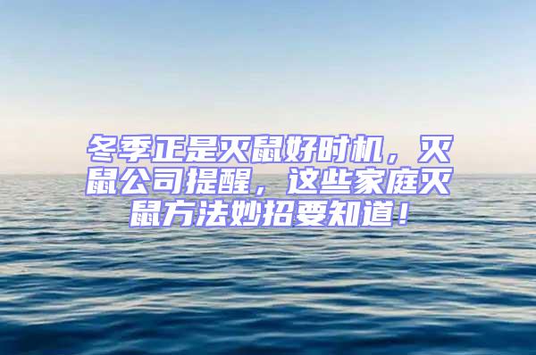 冬季正是灭鼠好时机，灭鼠公司提醒，这些家庭灭鼠方法妙招要知道！