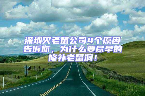 深圳灭老鼠公司4个原因告诉你，为什么要尽早的修补老鼠洞！