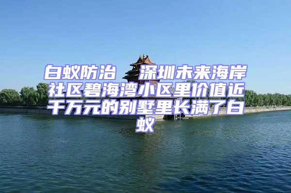 白蚁防治  深圳未来海岸社区碧海湾小区里价值近千万元的别墅里长满了白蚁