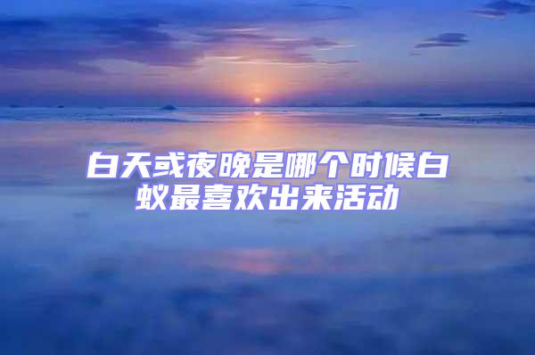 白天或夜晚是哪个时候白蚁最喜欢出来活动