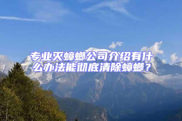 专业灭蟑螂公司介绍有什么办法能彻底清除蟑螂？