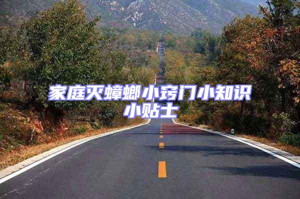 家庭灭蟑螂小窍门小知识小贴士