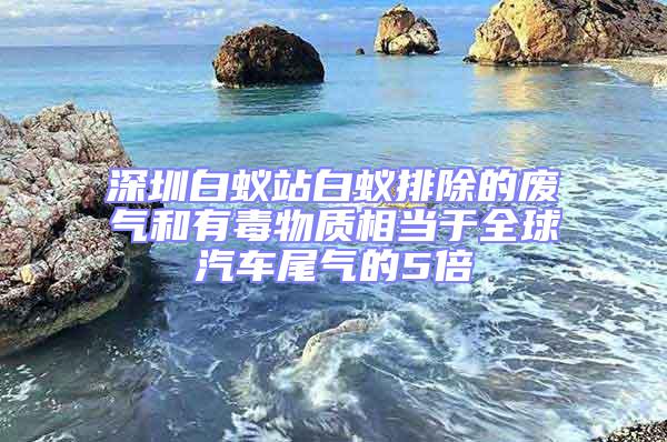 深圳白蚁站白蚁排除的废气和有毒物质相当于全球汽车尾气的5倍