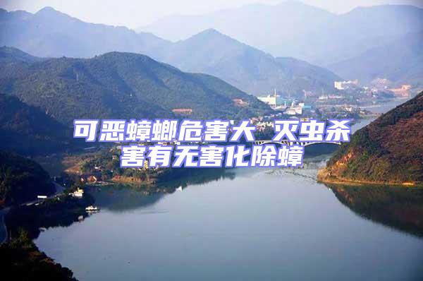 可恶蟑螂危害大 灭虫杀害有无害化除蟑