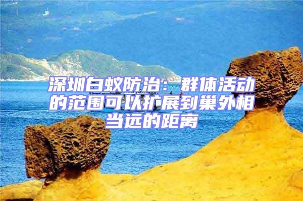 深圳白蚁防治：群体活动的范围可以扩展到巢外相当远的距离