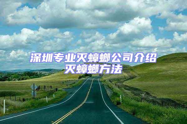 深圳专业灭蟑螂公司介绍灭蟑螂方法