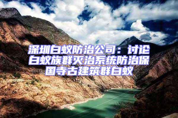 深圳白蚁防治公司：讨论白蚁族群灭治系统防治保国寺古建筑群白蚁