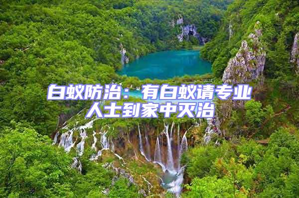 白蚁防治：有白蚁请专业人士到家中灭治