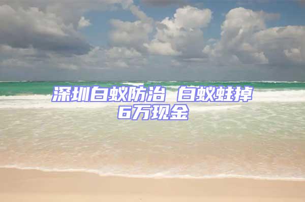 深圳白蚁防治 白蚁蛀掉6万现金