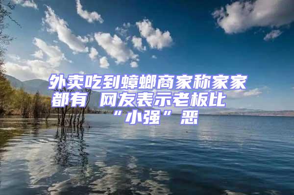 外卖吃到蟑螂商家称家家都有 网友表示老板比“小强”恶