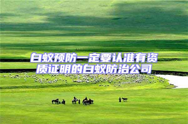 白蚁预防一定要认准有资质证明的白蚁防治公司