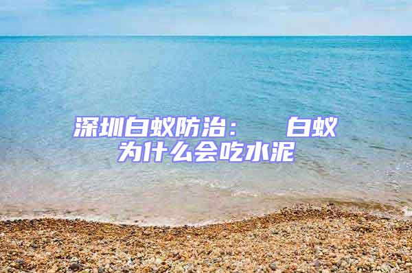 深圳白蚁防治：  白蚁为什么会吃水泥