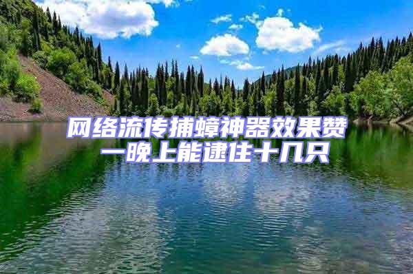 网络流传捕蟑神器效果赞 一晚上能逮住十几只