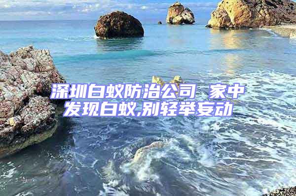 深圳白蚁防治公司 家中发现白蚁,别轻举妄动