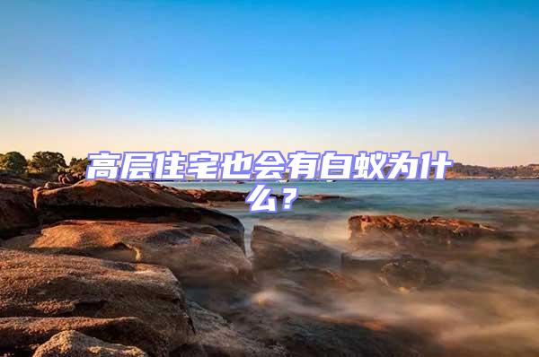 高层住宅也会有白蚁为什么？