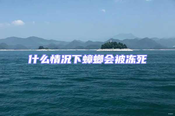 什么情况下蟑螂会被冻死