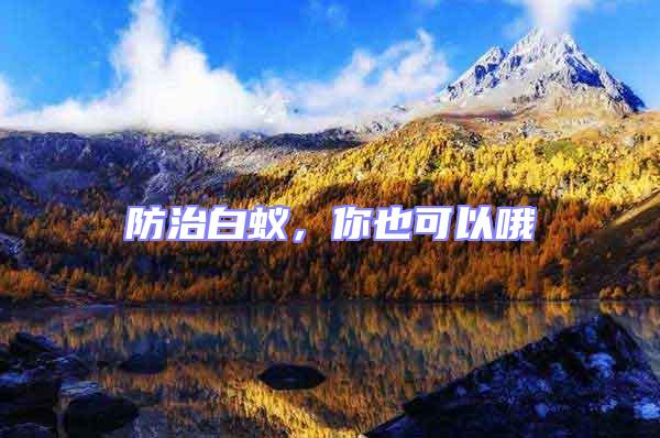 防治白蚁，你也可以哦