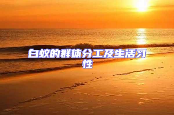 白蚁的群体分工及生活习性