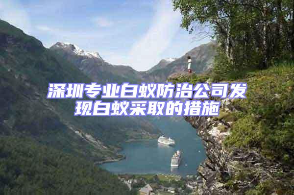 深圳专业白蚁防治公司发现白蚁采取的措施