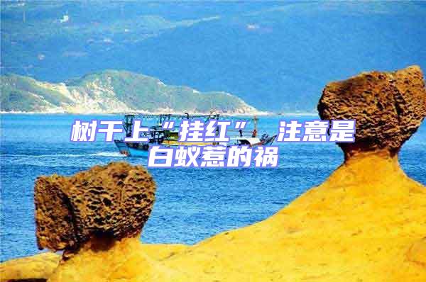 树干上“挂红” 注意是白蚁惹的祸