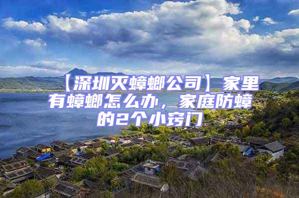 【深圳灭蟑螂公司】家里有蟑螂怎么办，家庭防蟑的2个小窍门