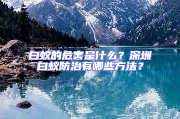 白蚁的危害是什么？深圳白蚁防治有哪些方法？