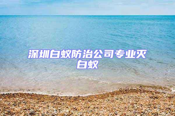 深圳白蚁防治公司专业灭白蚁