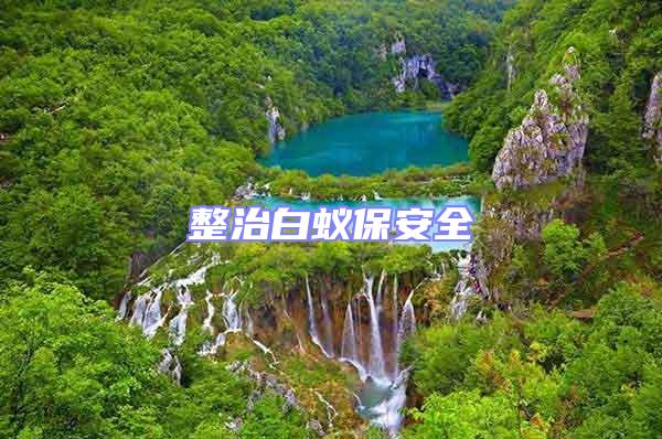 整治白蚁保安全