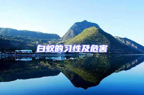 白蚁的习性及危害