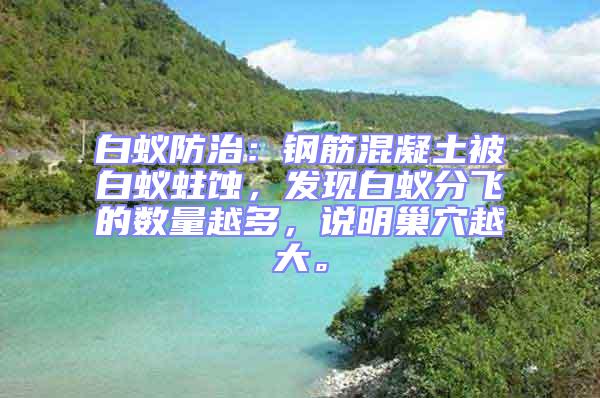 白蚁防治：钢筋混凝土被白蚁蛀蚀，发现白蚁分飞的数量越多，说明巢穴越大。