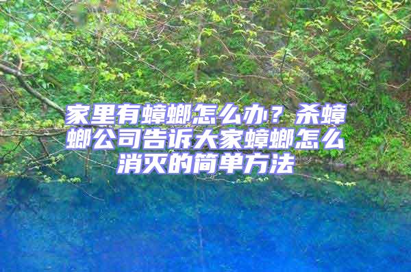 家里有蟑螂怎么办？杀蟑螂公司告诉大家蟑螂怎么消灭的简单方法