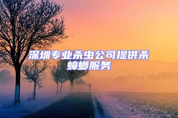 深圳专业杀虫公司提供杀蟑螂服务