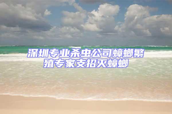 深圳专业杀虫公司蟑螂繁殖专家支招灭蟑螂