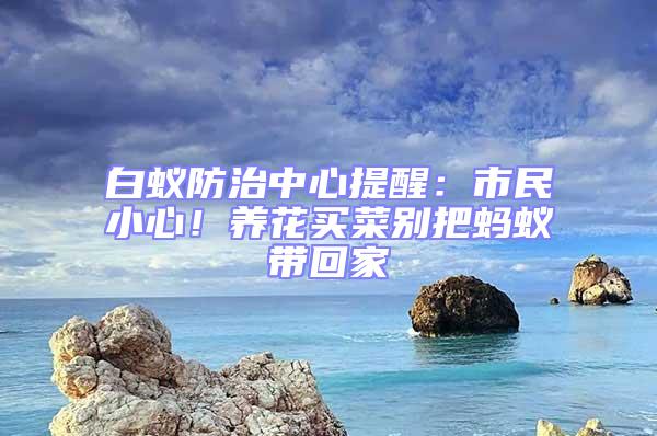 白蚁防治中心提醒：市民小心！养花买菜别把蚂蚁带回家