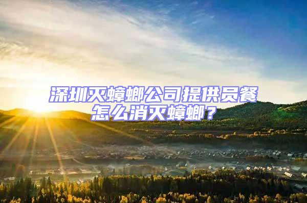 深圳灭蟑螂公司提供员餐怎么消灭蟑螂？