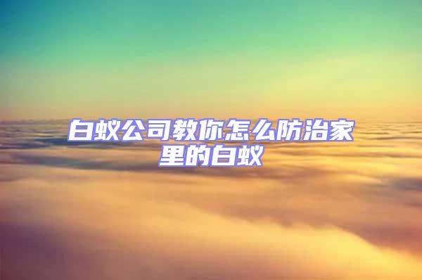 白蚁公司教你怎么防治家里的白蚁