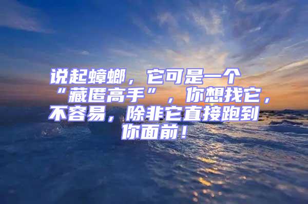 说起蟑螂，它可是一个“藏匿高手”，你想找它，不容易，除非它直接跑到你面前！