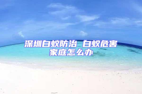 深圳白蚁防治 白蚁危害家庭怎么办