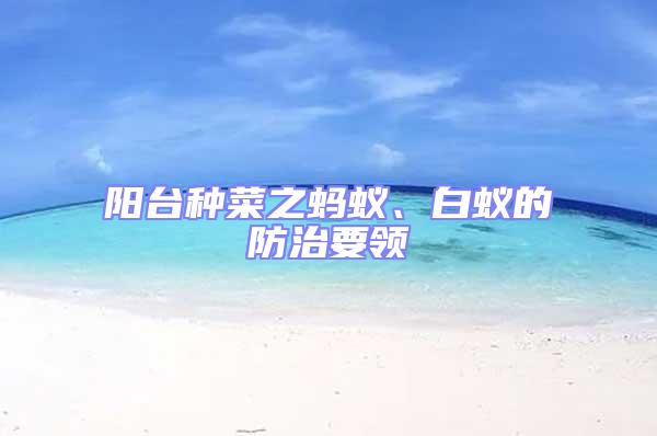 阳台种菜之蚂蚁、白蚁的防治要领