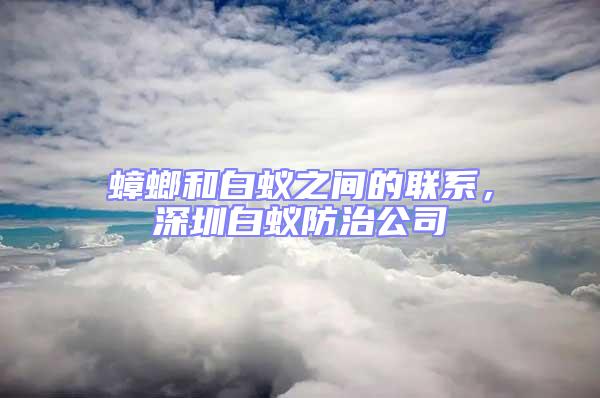 蟑螂和白蚁之间的联系，深圳白蚁防治公司