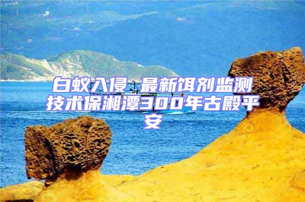 白蚁入侵 最新饵剂监测技术保湘潭300年古殿平安